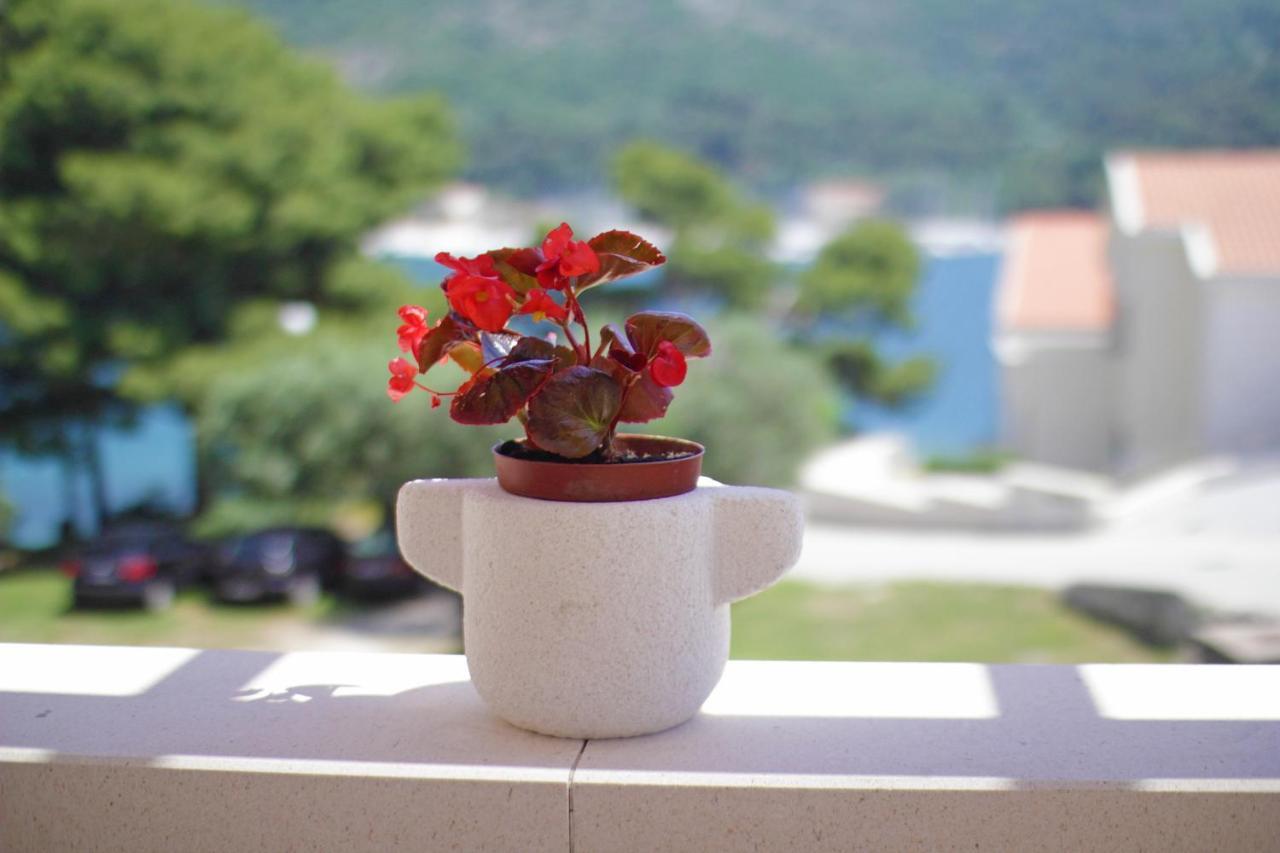 Apartament Nine Slano